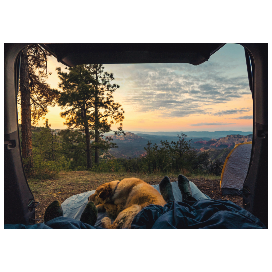 Rompecabezas de 100 piezas Vámonos de Camping