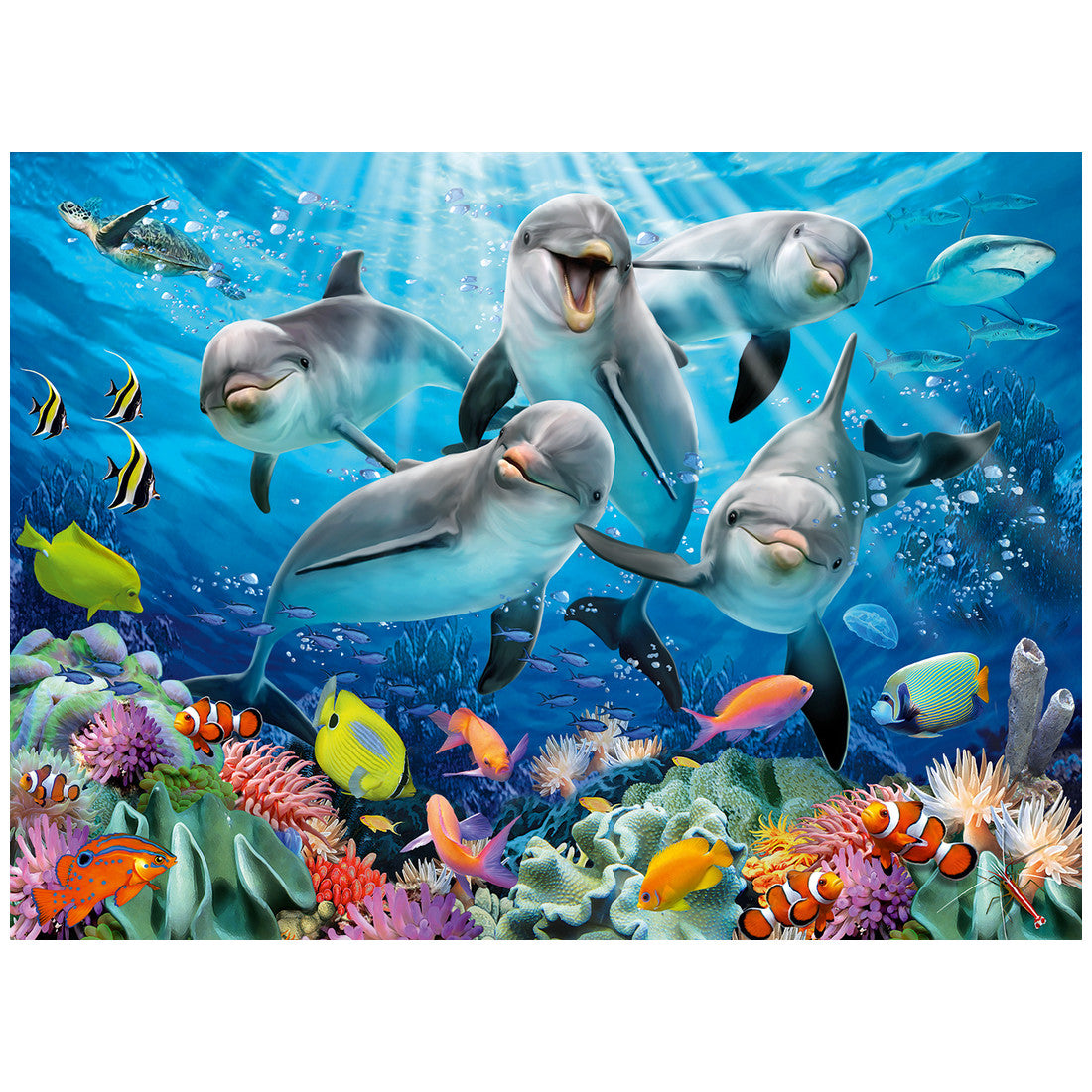 Rompecabezas 500 Piezas Dolphins in the Coral Reef - Delfines en el arrecife