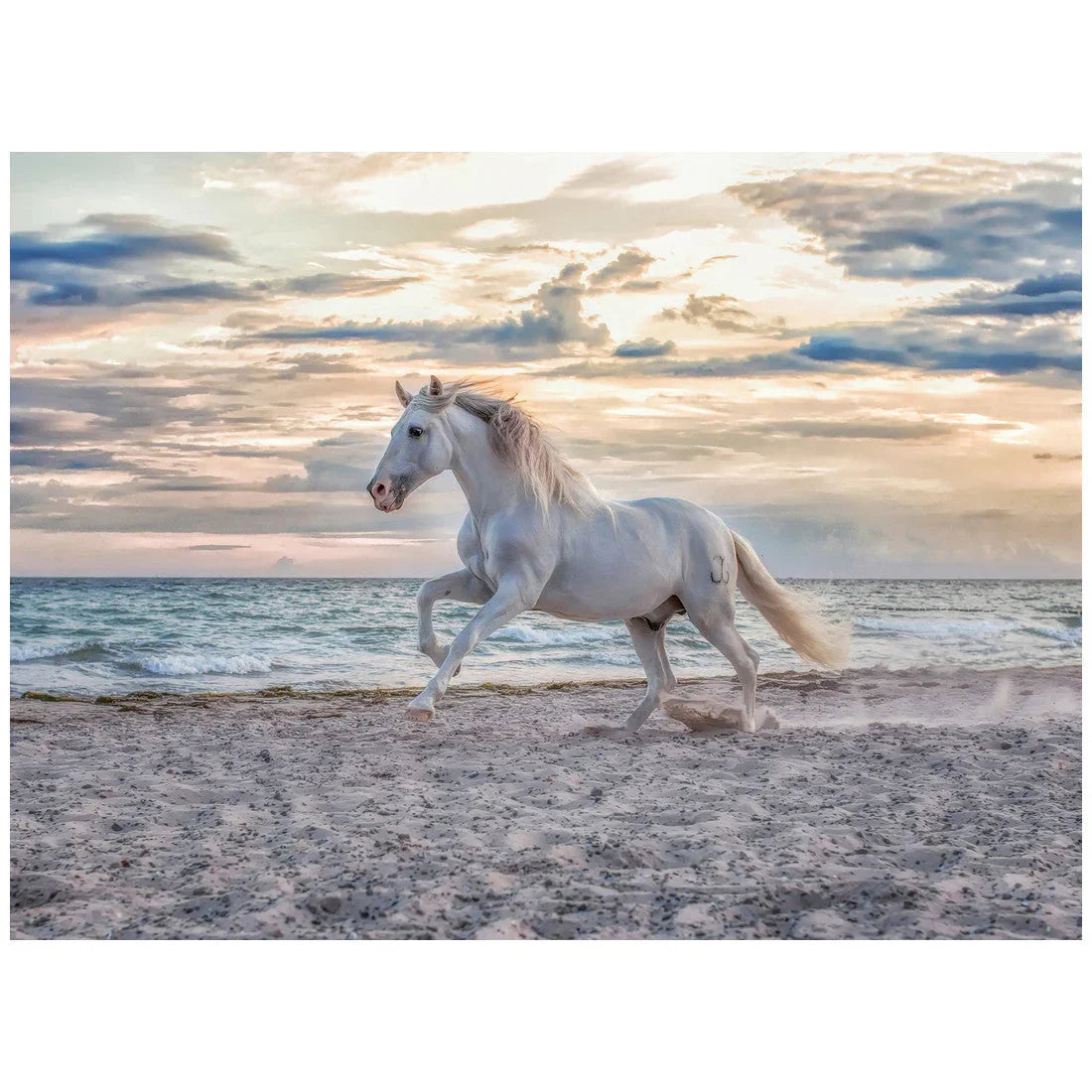 Rompecabezas 500 Piezas Evening Gallop - Galope al atardecer