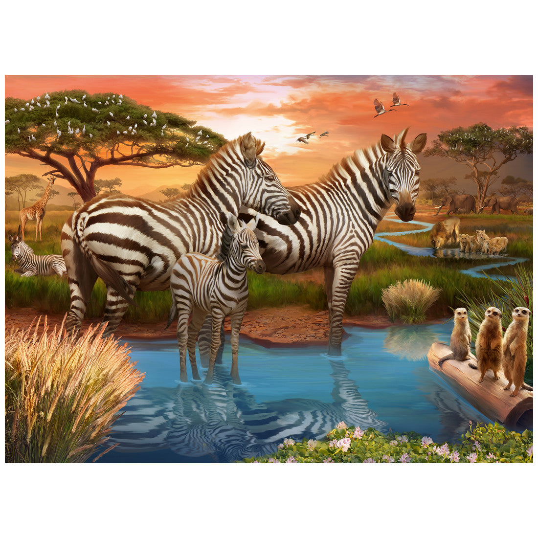 Rompecabezas 500 Piezas Zebras at the Waterhole - Cebras en el abrevadero