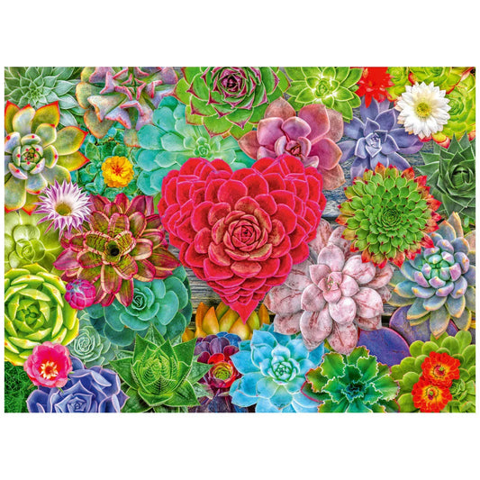rompecabezas-500-piezas-succulent-love-amor-suculento-rompecabezas-colombia
