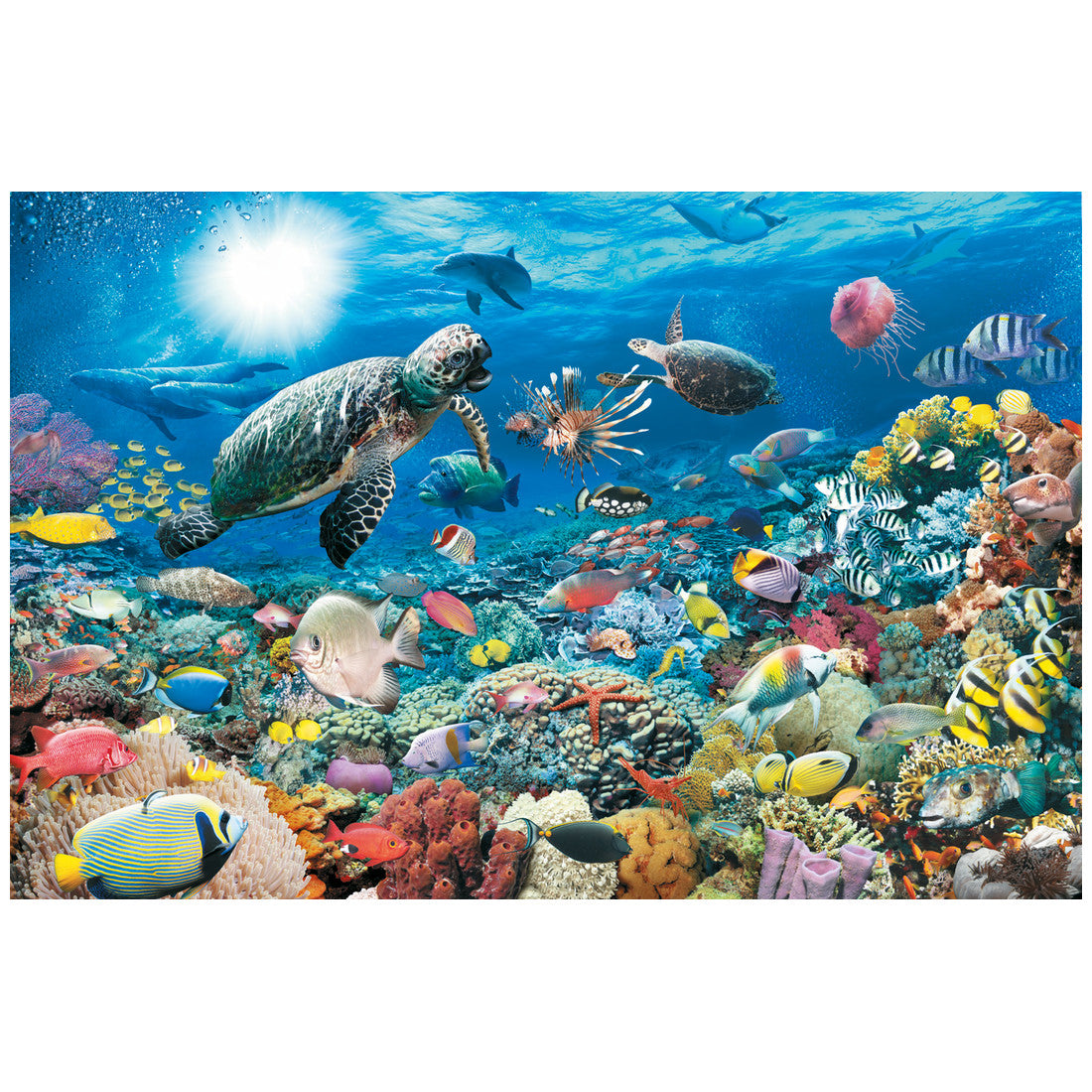 Rompecabezas 5000 Piezas Bajo el mar - Bajo el mar