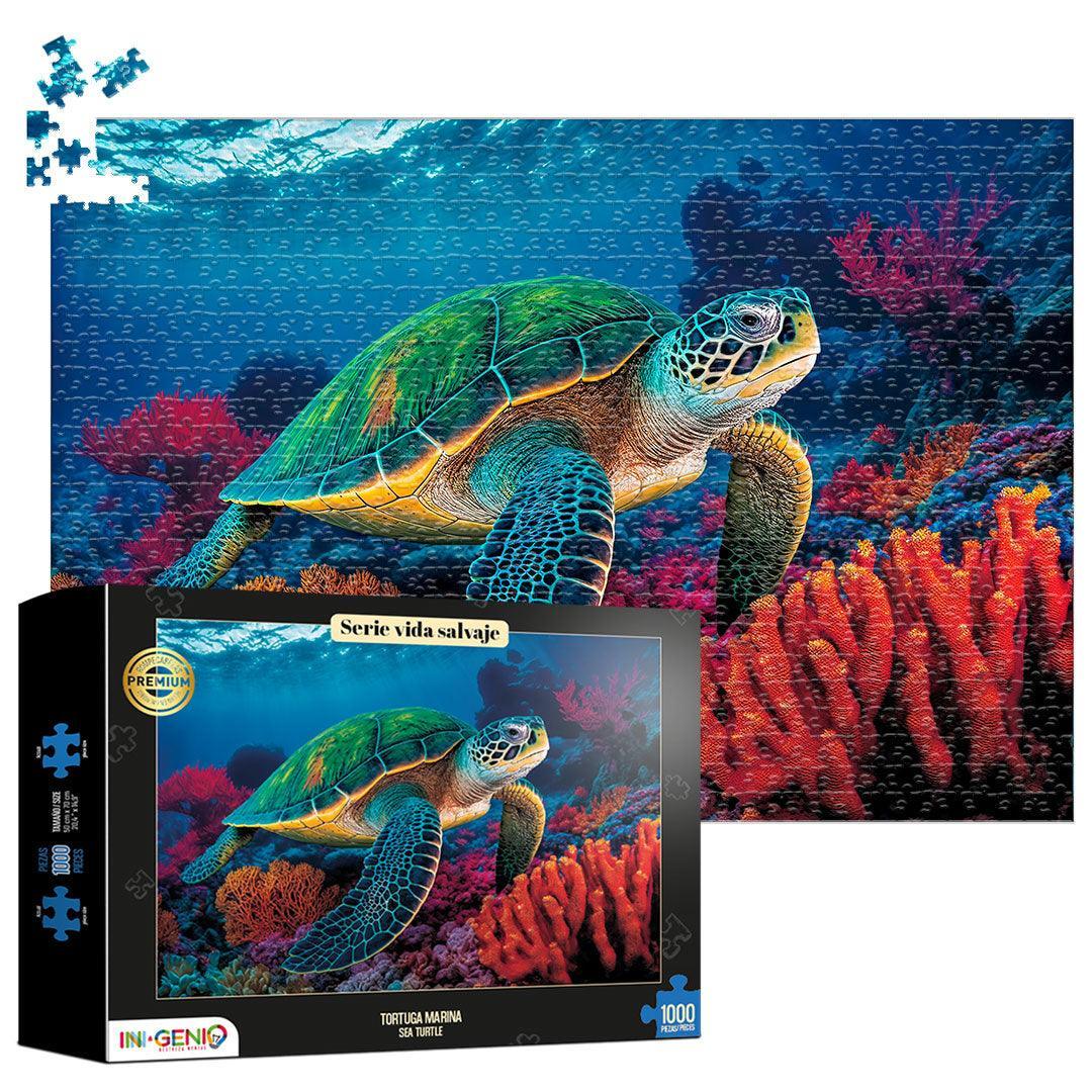 Rompecabezas Ingeniosos