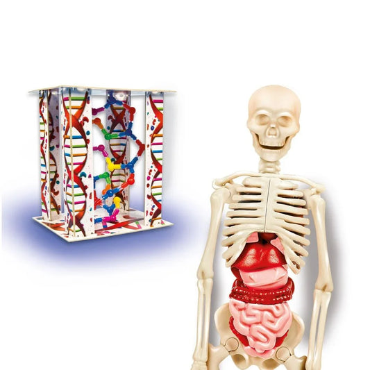 Laboratorio el Cuerpo Humano SmartGame - Ciencia y Juego 55089 - Ingenio Destreza Mental