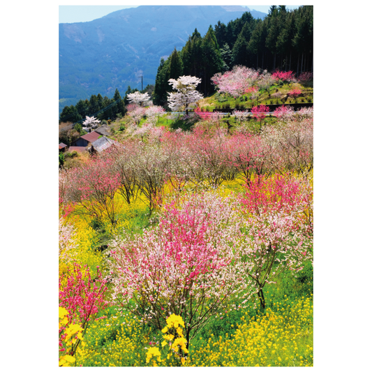 Rompecabezas de 100 piezas Cuando Florecen los Cerezos