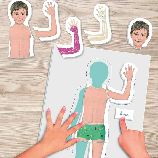 Juego Montessori – El cuerpo humano