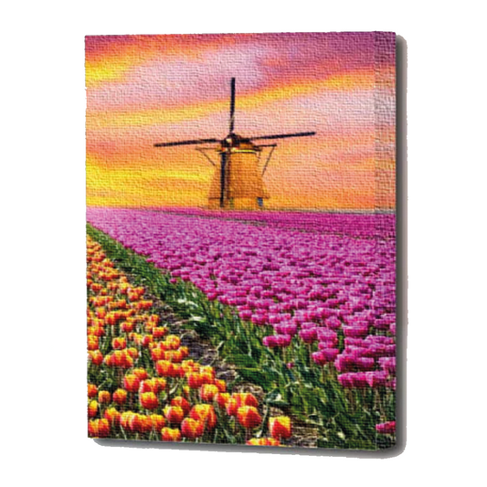 Kit de Arte 5D Diamante 50cmx40cm - Molino