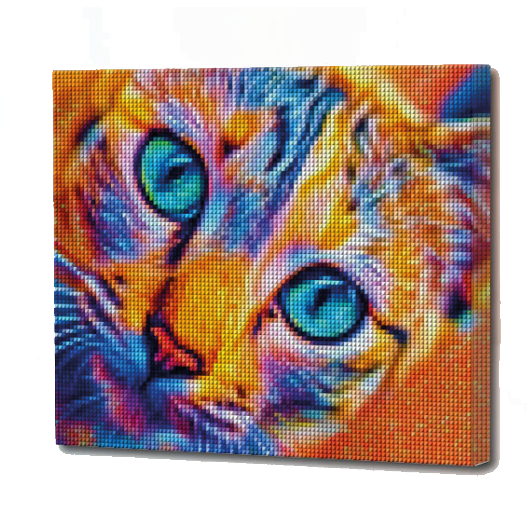 Kit de Arte 5D Diamante 50cmx40cm - Gato Ojos