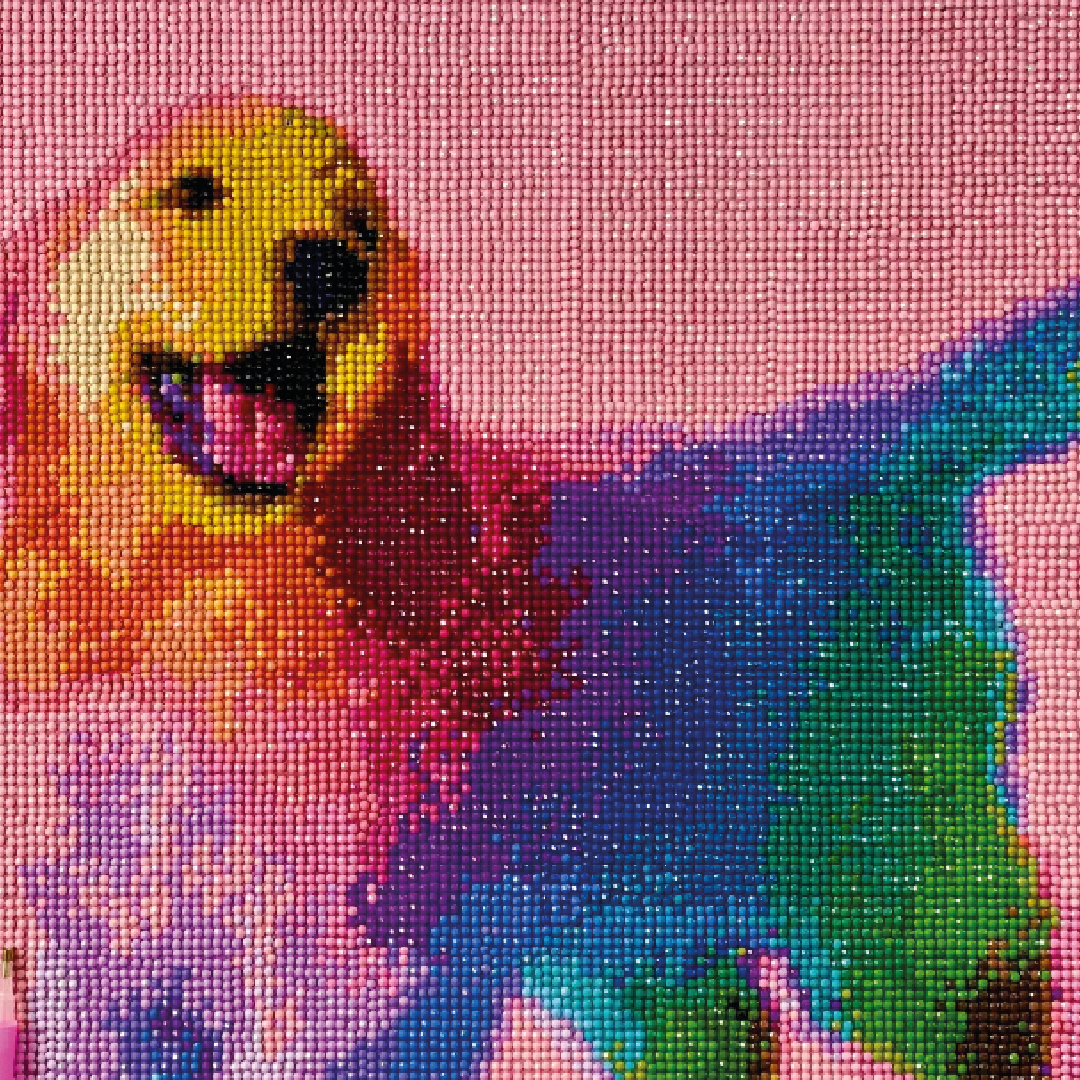 Kit de Arte 5D Diamante 50cmx40cm - Cachorro