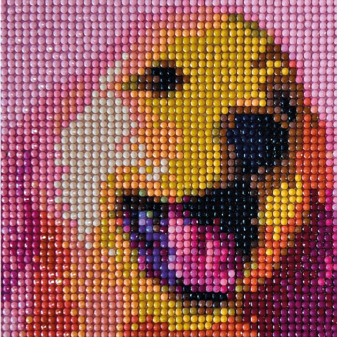 Kit de Arte 5D Diamante 50cmx40cm - Cachorro