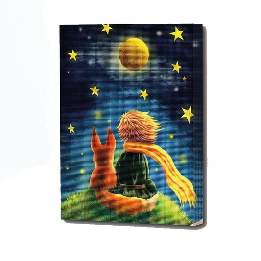 Kit de Arte 5D Diamante 50cmx40cm - El Principito