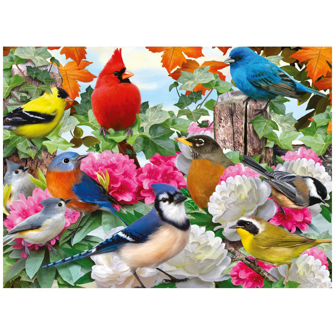 Ravensburger - Puzzle Aves de Arte, 1000 Piezas para Adultos, Pegamento para Enmarcar, Rompecabezas, Pasatiempos 70x50cm
