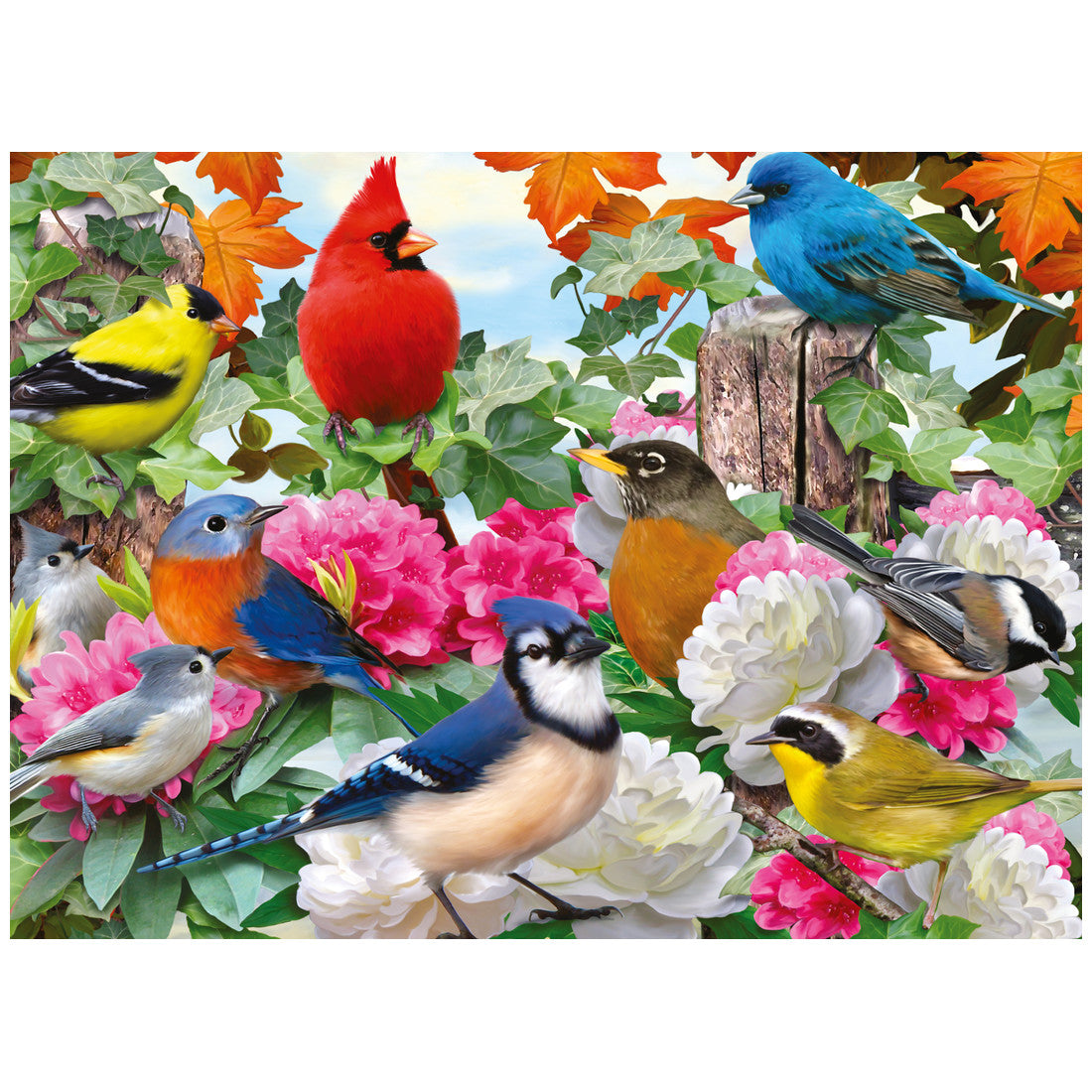 Rompecabezas 500 Piezas Garden Birds - Aves del jardín