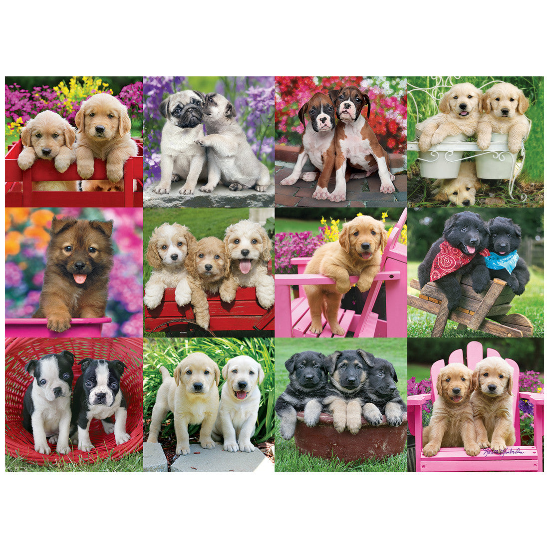 Rompecabezas 500 Piezas Puppy Pals Puzzle - Compañeros cachorros