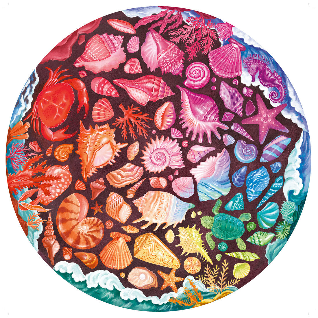 Rompecabezas 500 Piezas Circular -  Seashells Round - Conchas marinas