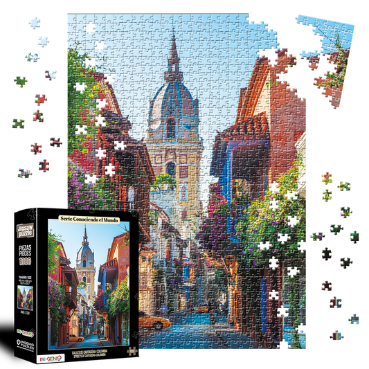 Rompecabezas 1000 piezas Calles de Cartagena, Colombia (ING228)