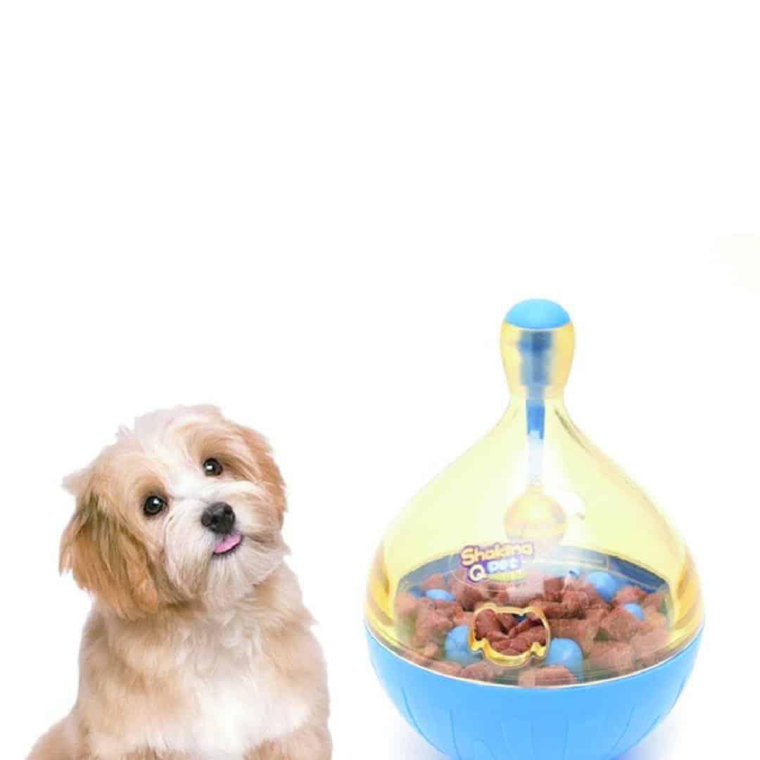 Juego para mascotas IQ Campana para Gatos y Perros – Ingenio