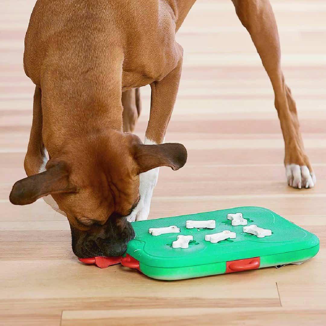 Rompecabezas para perros Nivel Dog Casino Nina Ottosson